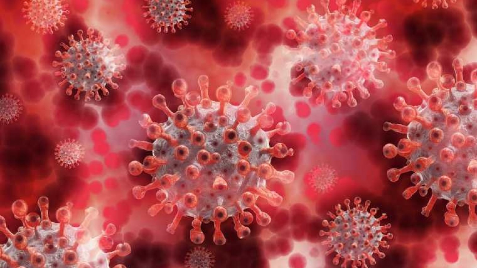 Deltacron: la nueva variante de Covid-19 detectada en Europa